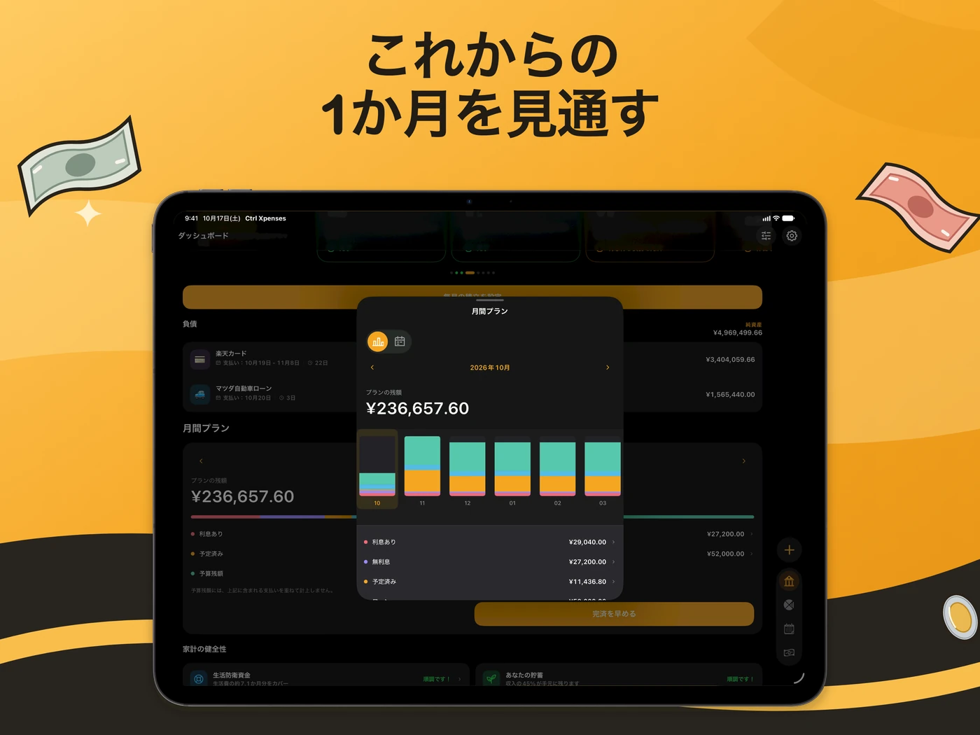 iPad の月間プラン